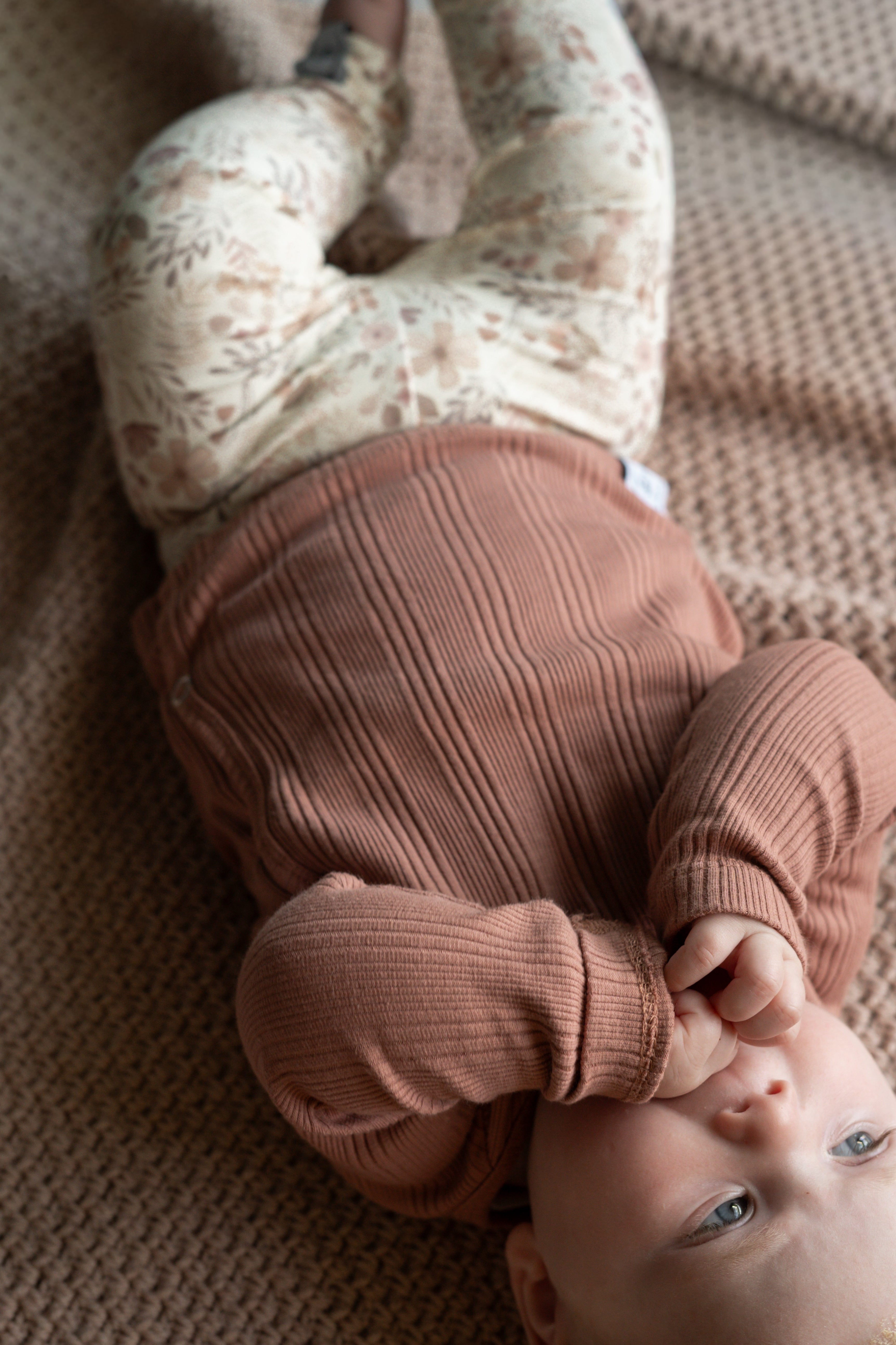 Tiny Talk #3: Hoe kies je de juiste maat voor je mini?